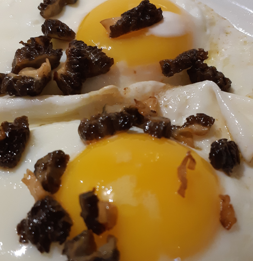 Two sunnyside eggs, topped with morel mushroom bits