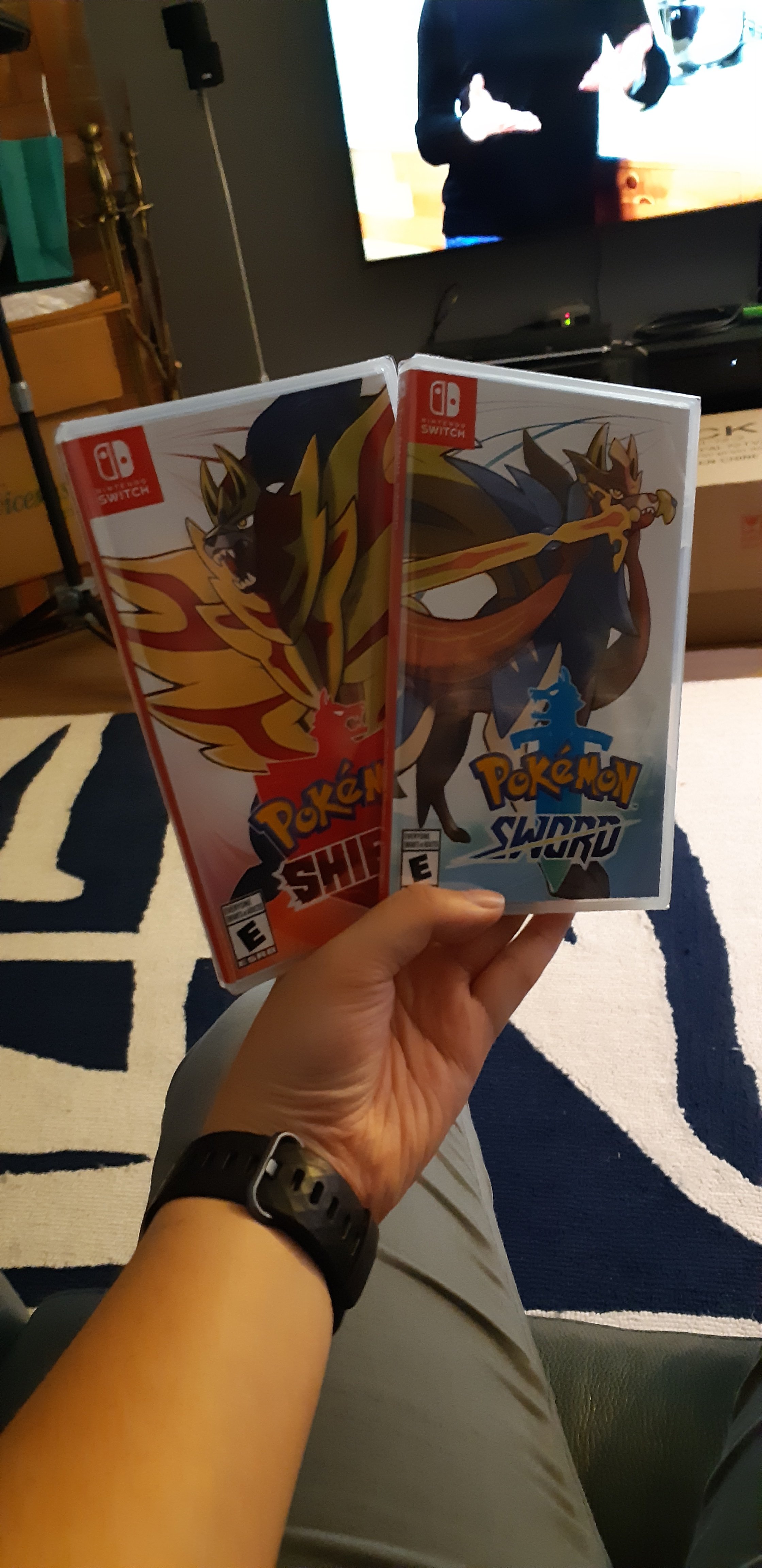 Pokemon Sword and Shield games in my hand.